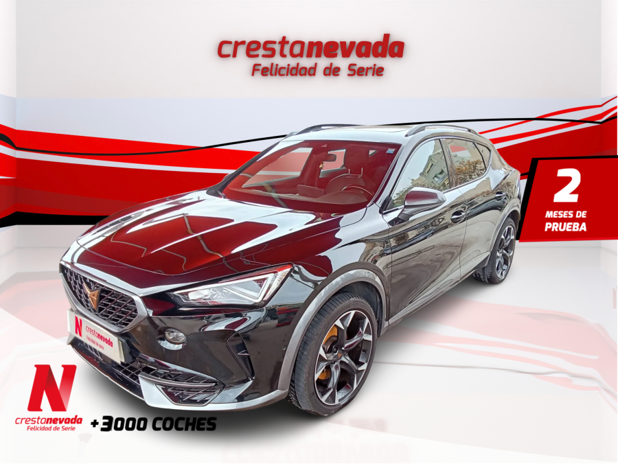Imagen de cupra Formentor