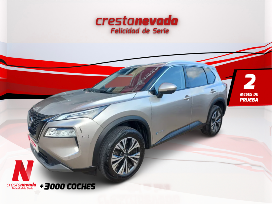 Imagen de NISSAN X-TRAIL