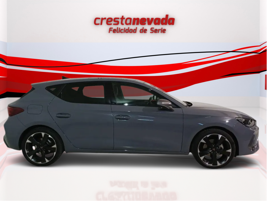 Imagen de cupra León