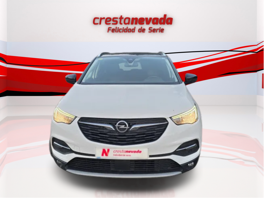 Imagen de Opel Grandland X