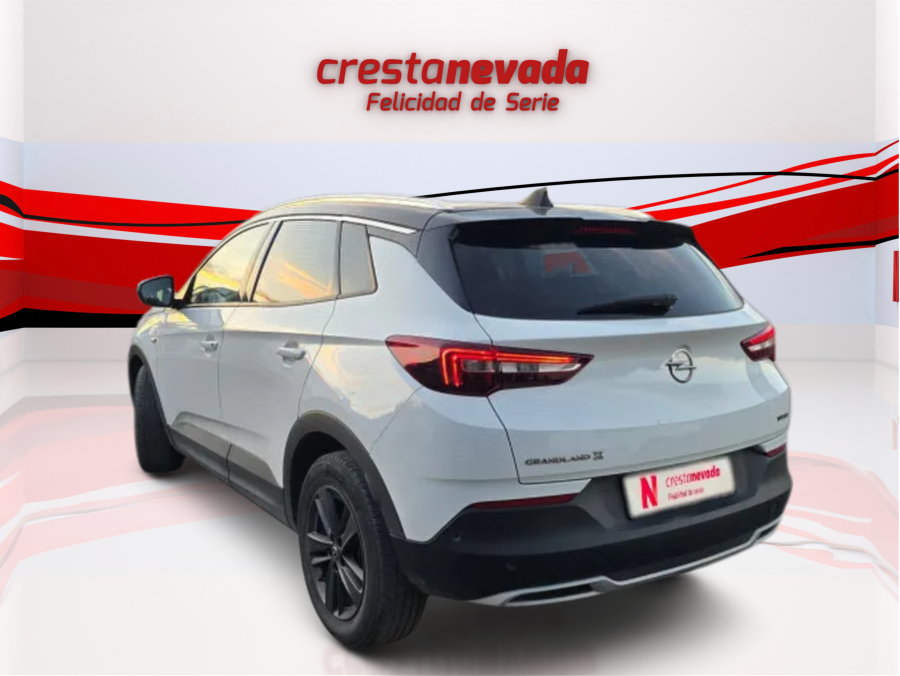 Imagen de Opel Grandland X