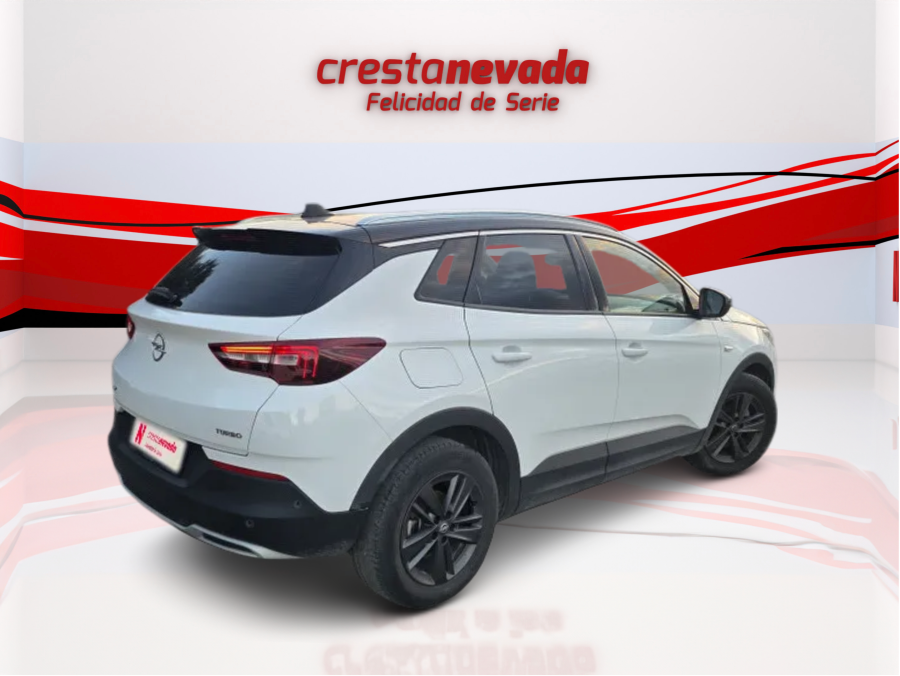 Imagen de Opel Grandland X