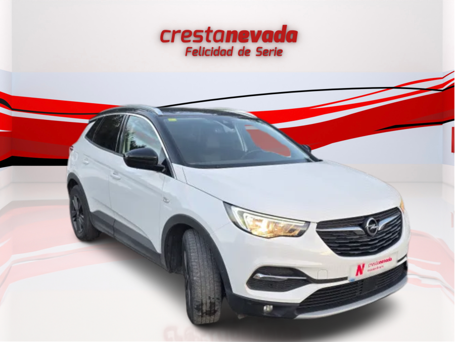 Imagen de Opel Grandland X