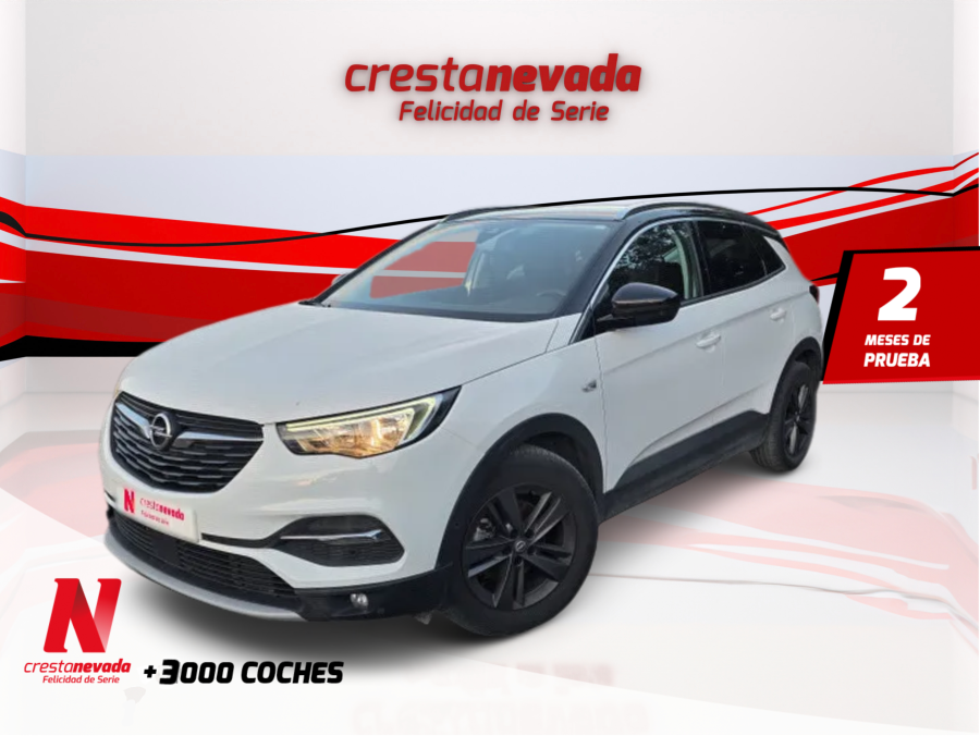 Imagen de Opel Grandland X