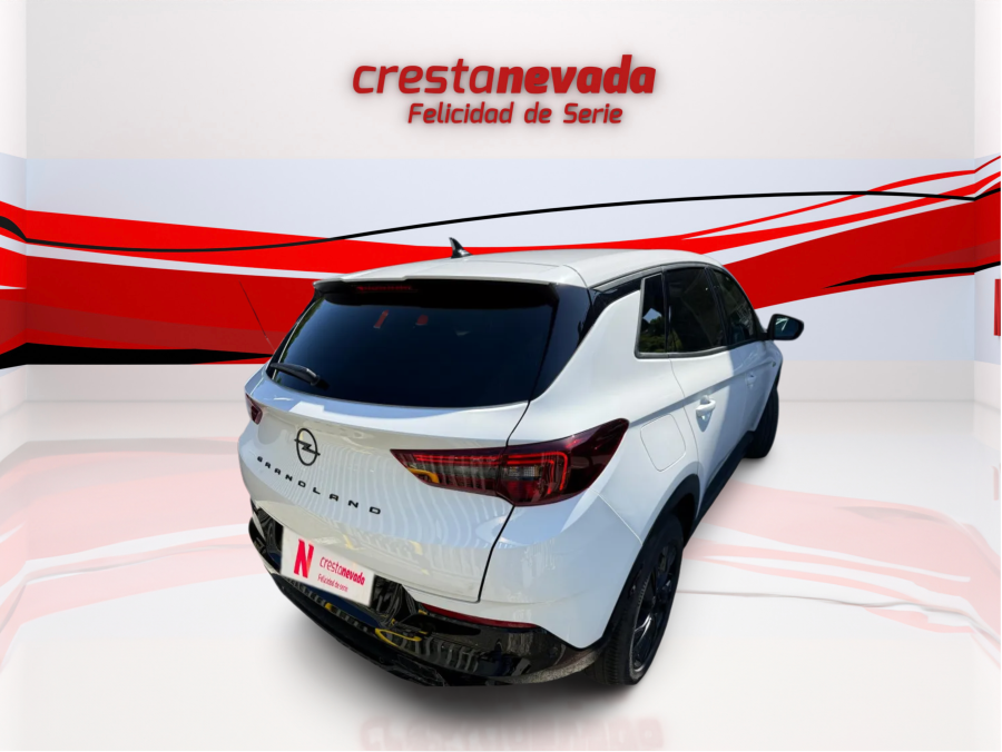 Imagen de Opel Grandland