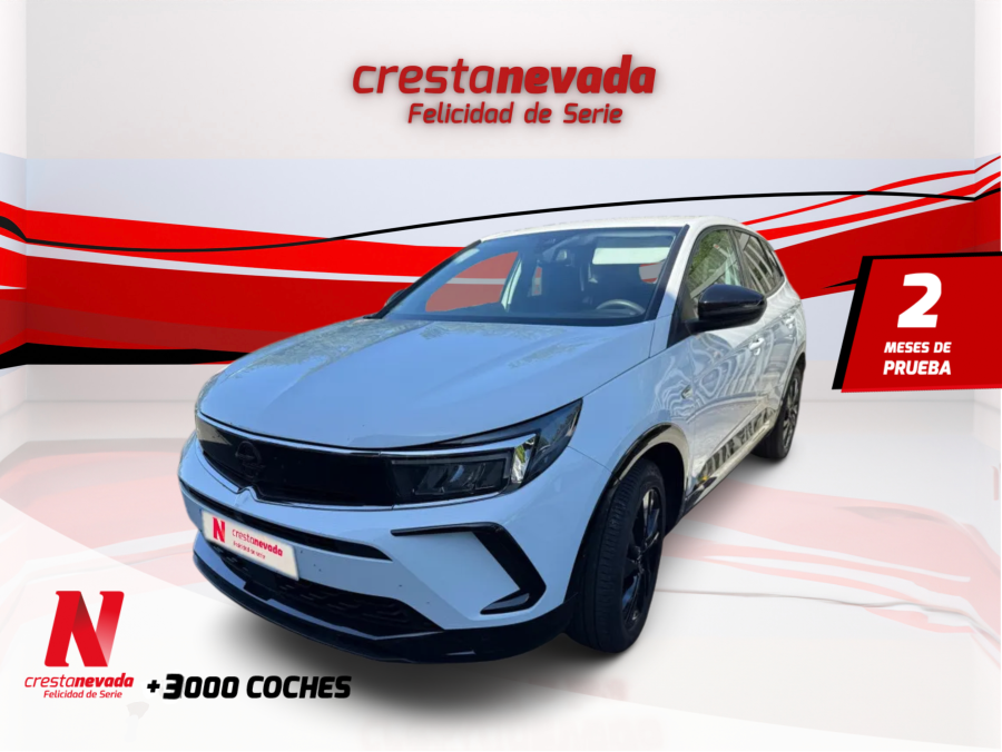 Imagen de Opel Grandland