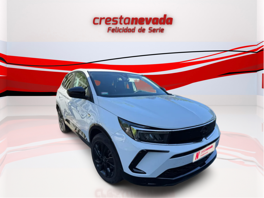 Imagen de Opel Grandland