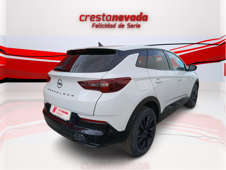 Imagen de Opel Grandland