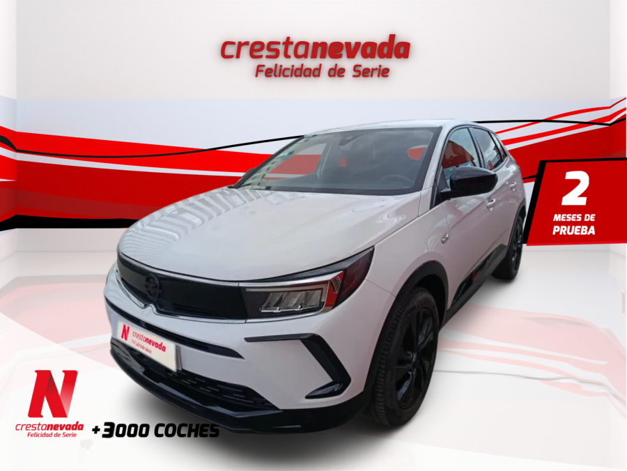 Imagen de Opel Grandland
