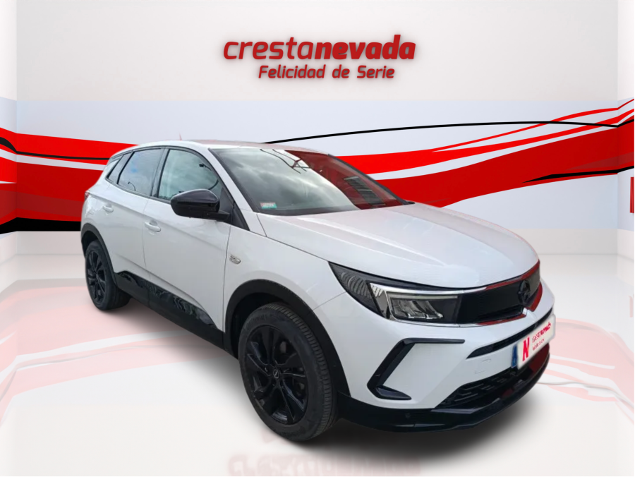 Imagen de Opel Grandland