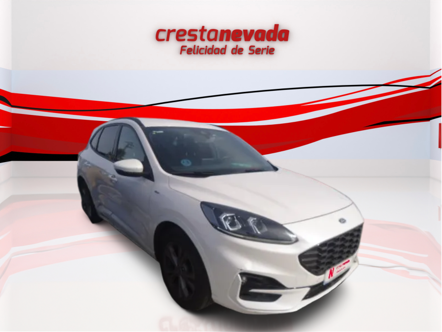 Imagen de Ford Kuga