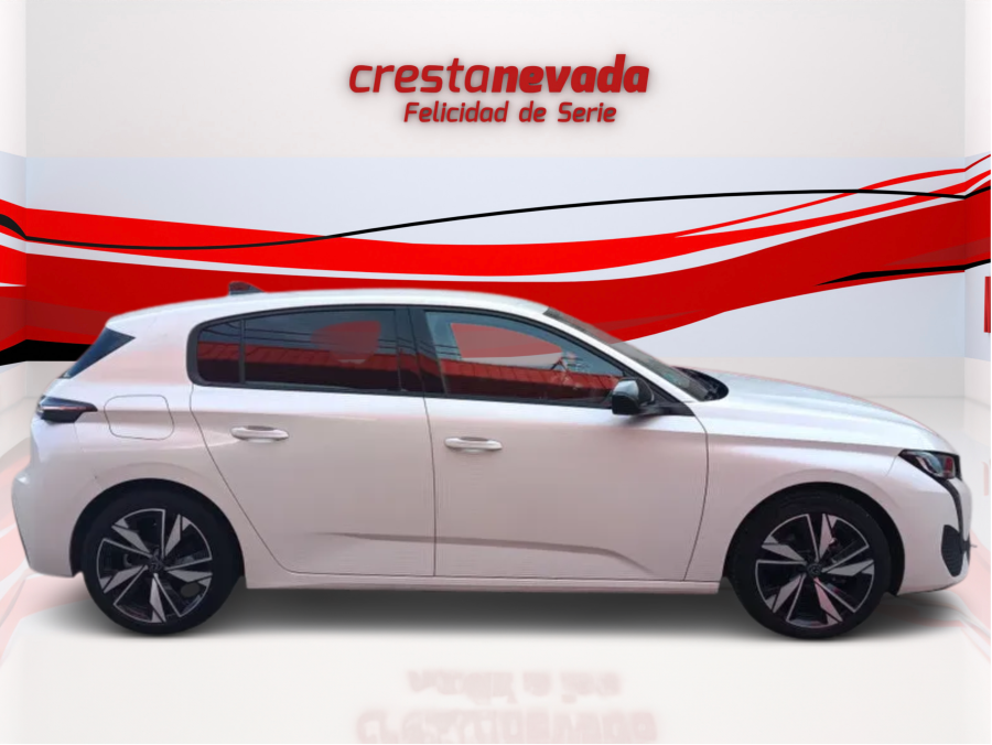 Imagen de Peugeot 308