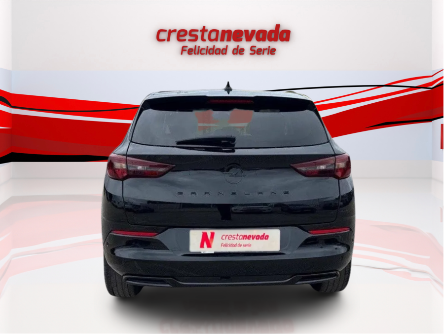 Imagen de Opel Grandland