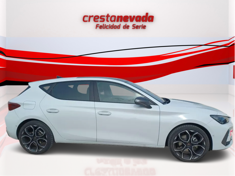 Imagen de cupra León