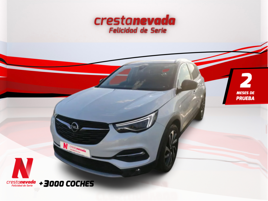 Imagen de Opel Grandland X