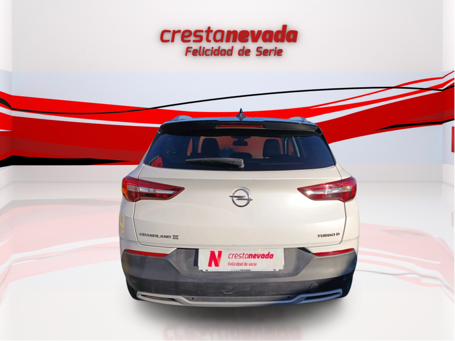 Imagen de Opel Grandland X