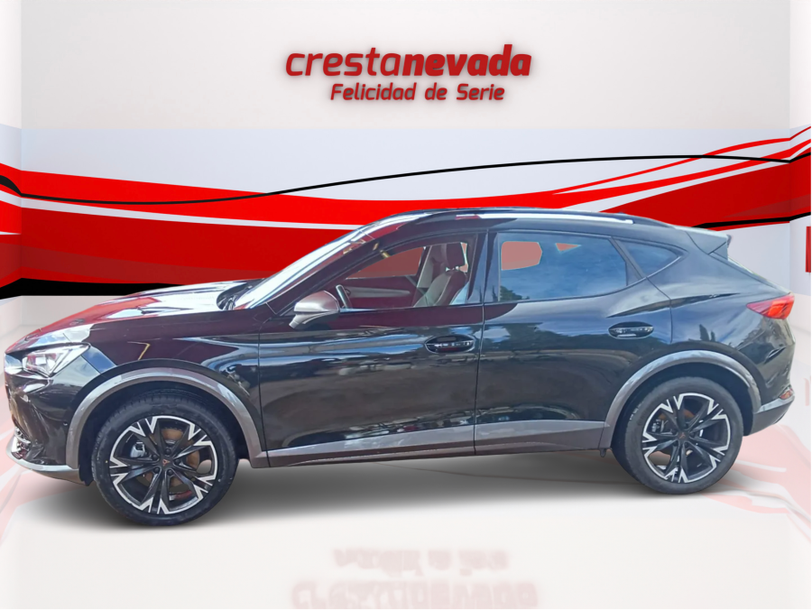 Imagen de cupra Formentor