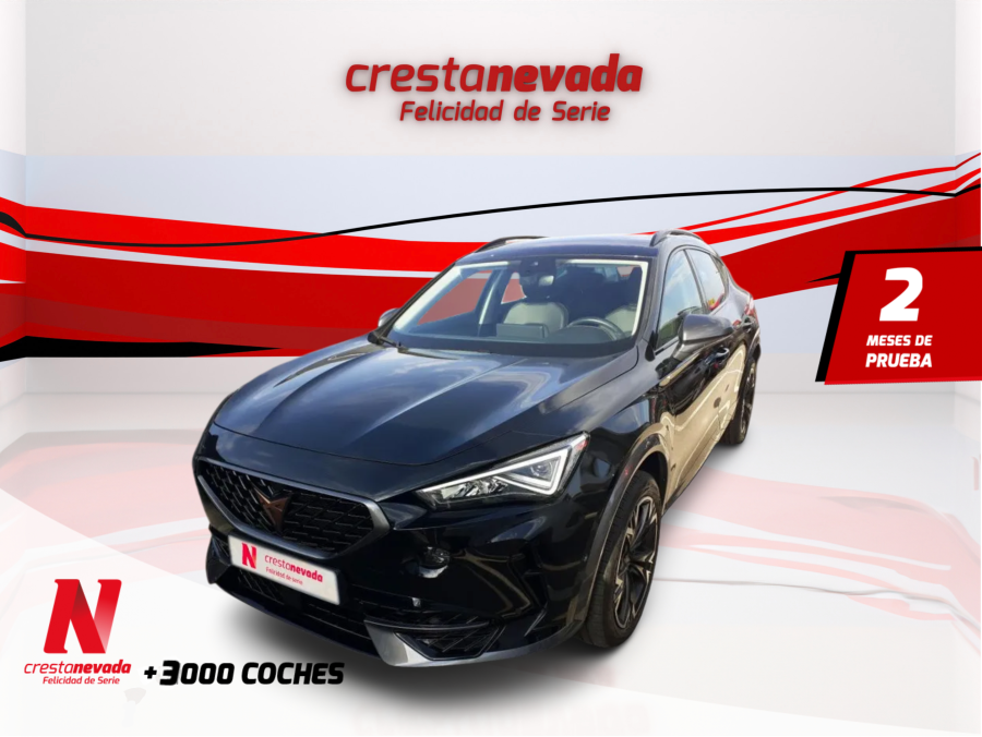 Imagen de cupra Formentor