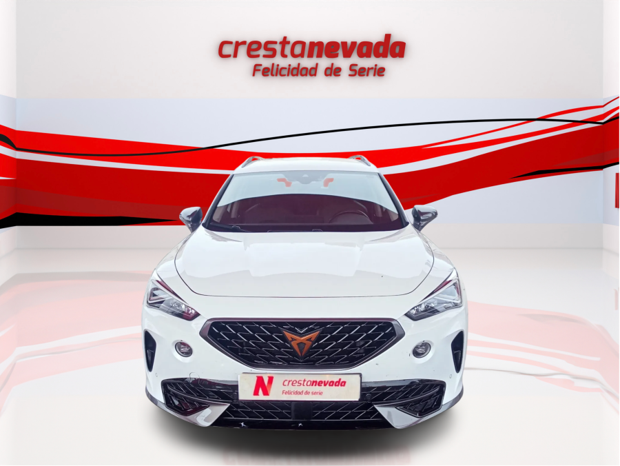 Imagen de cupra Formentor