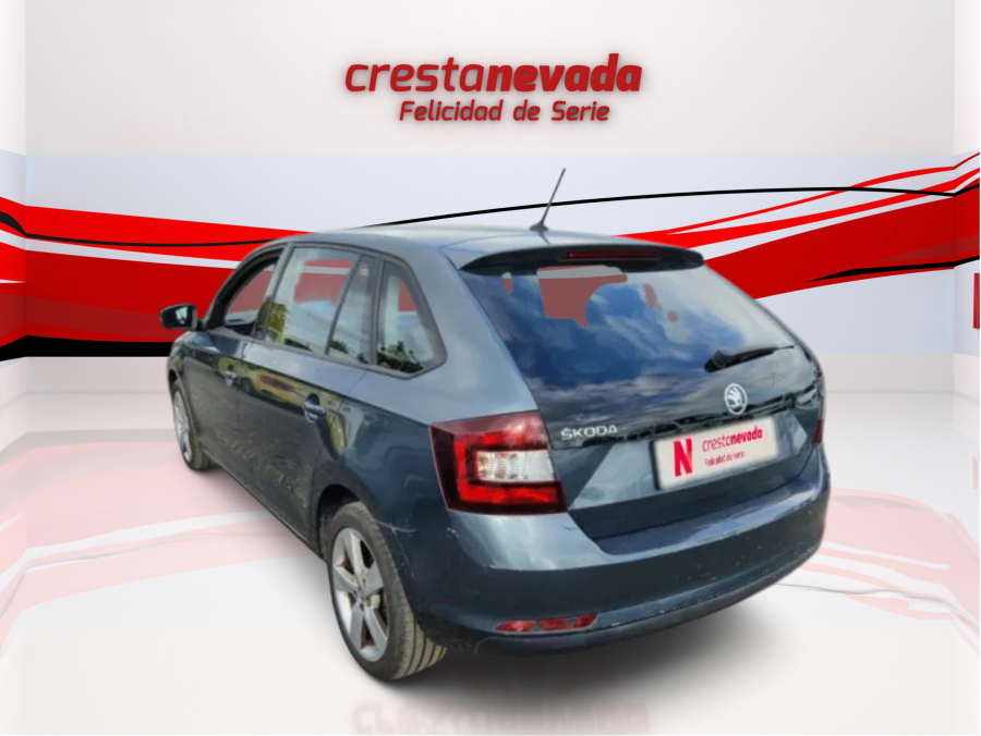 Imagen de Skoda Rapid