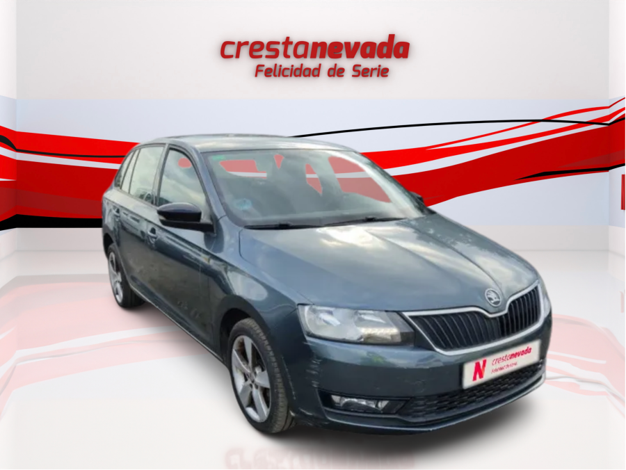 Imagen de Skoda Rapid