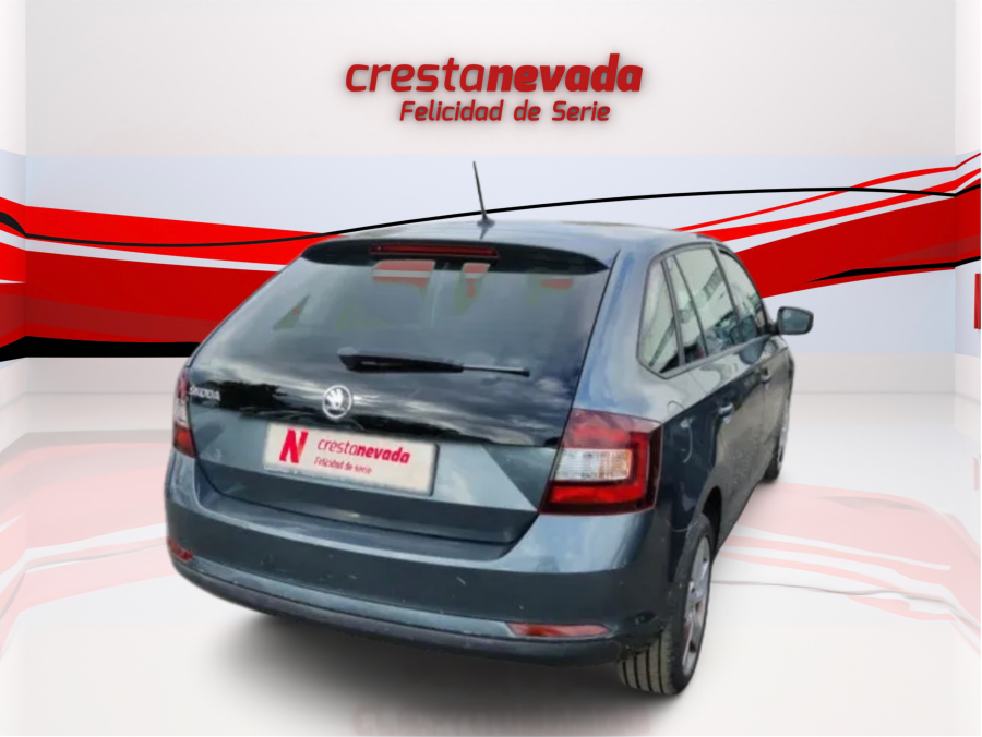 Imagen de Skoda Rapid