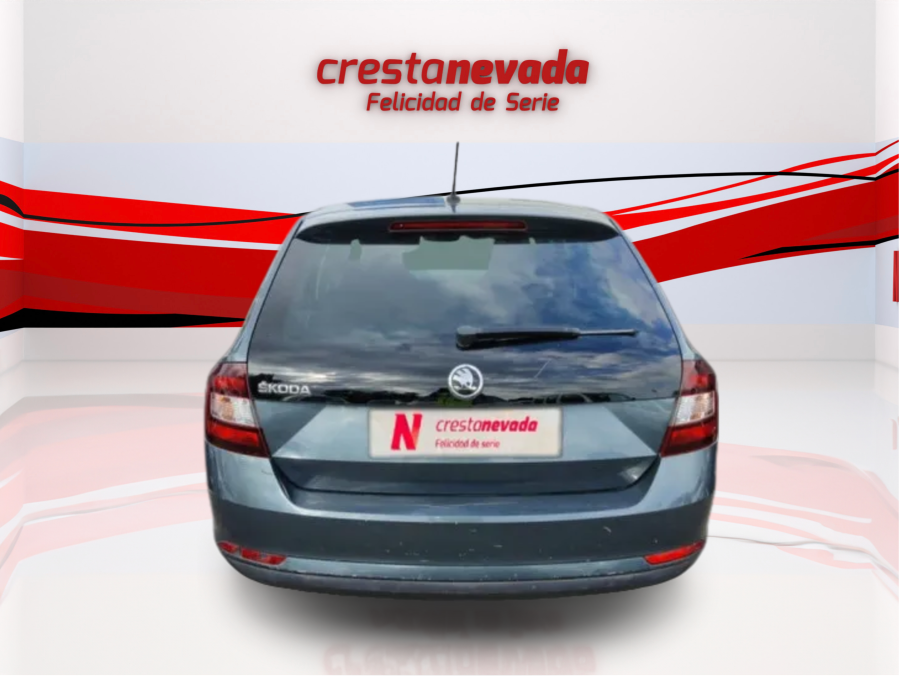 Imagen de Skoda Rapid