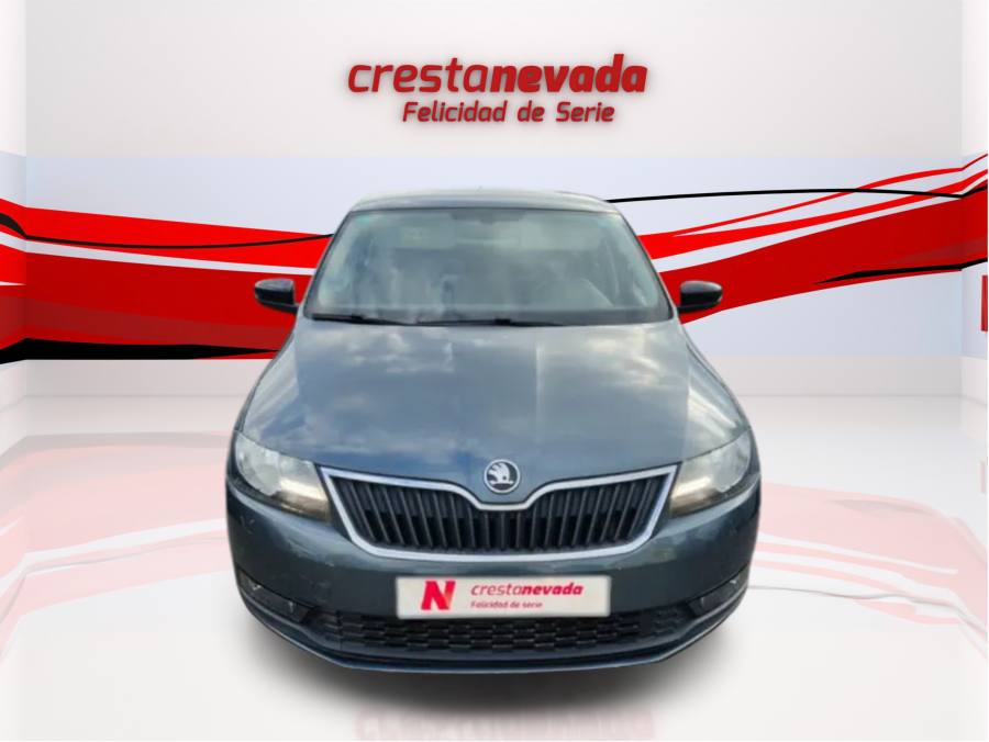 Imagen de Skoda Rapid