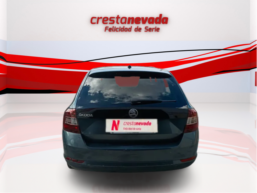 Imagen de Skoda Rapid