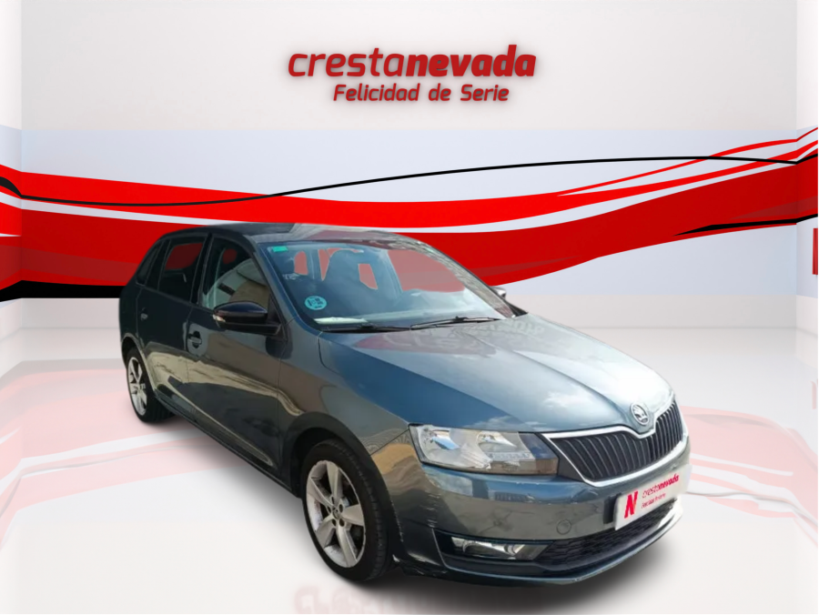 Imagen de Skoda Rapid