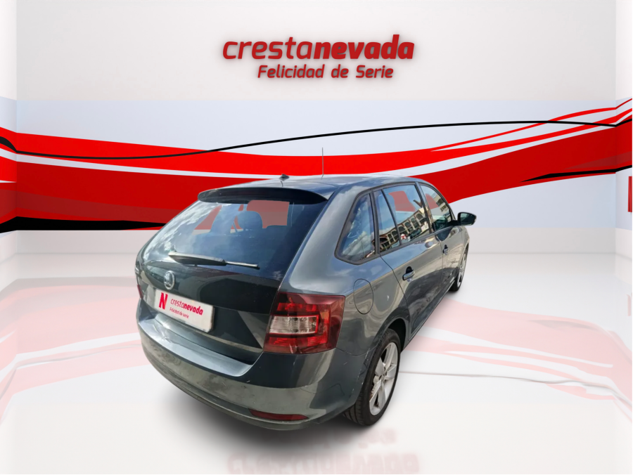 Imagen de Skoda Rapid