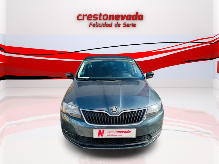 Imagen de Skoda Rapid