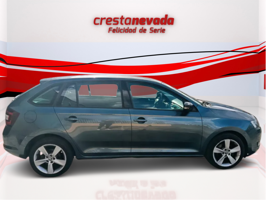 Imagen de Skoda Rapid