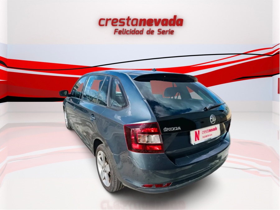 Imagen de Skoda Rapid