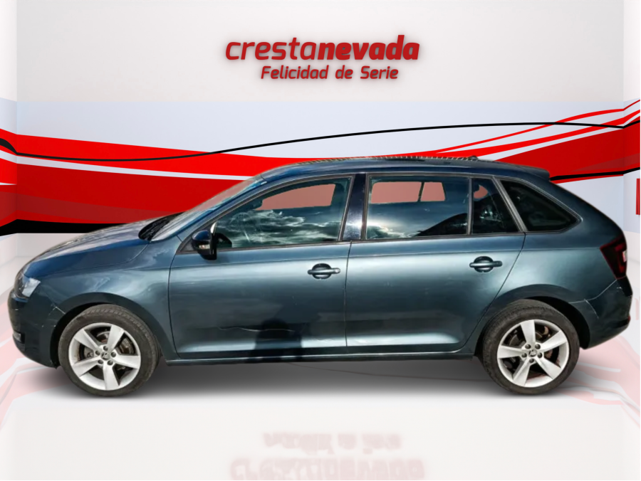 Imagen de Skoda Rapid