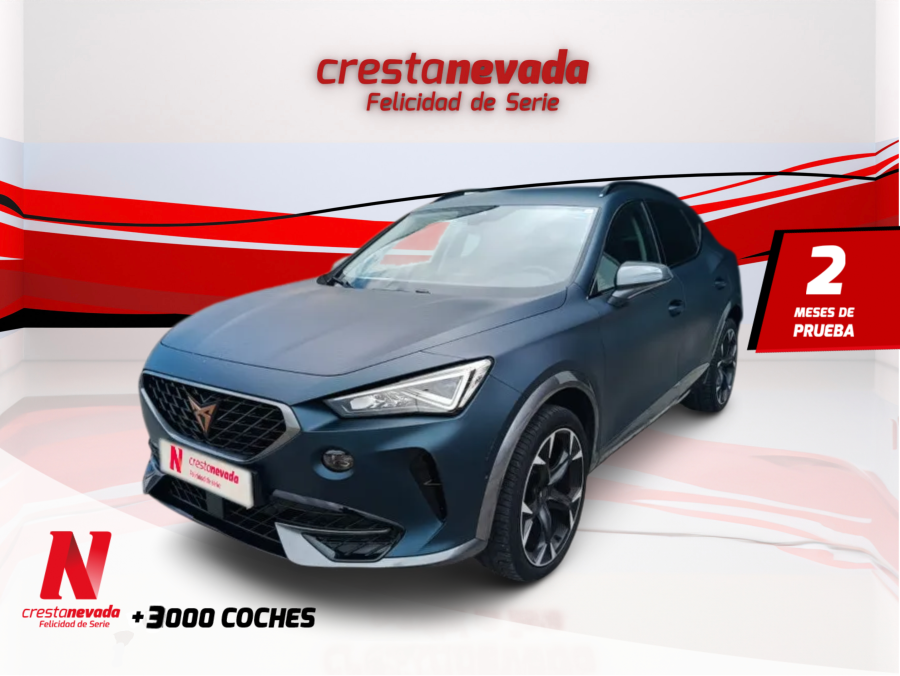 Imagen de cupra Formentor