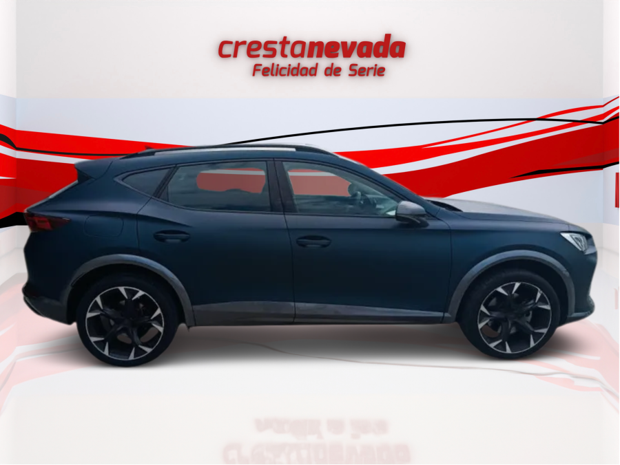 Imagen de cupra Formentor