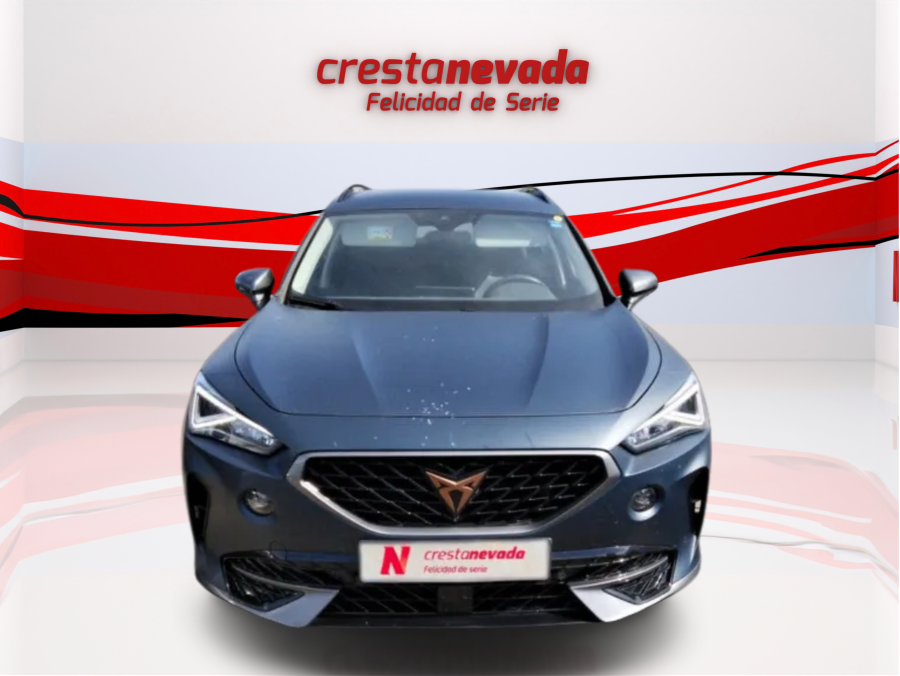 Imagen de cupra Formentor