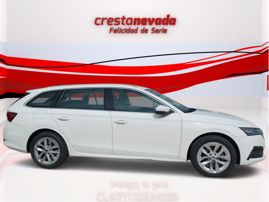 Imagen de Skoda Octavia