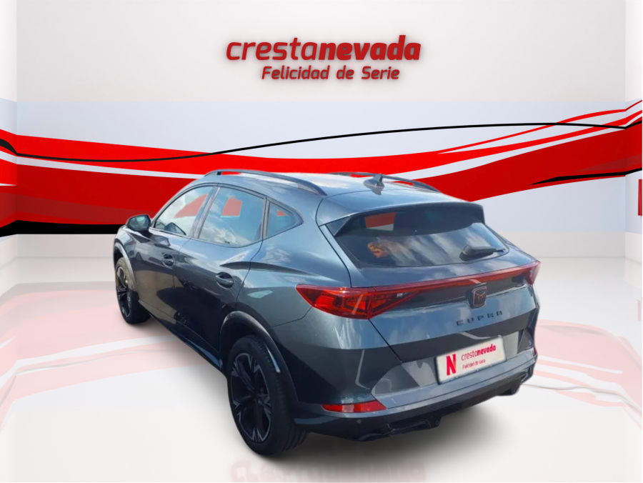 Imagen de cupra Formentor