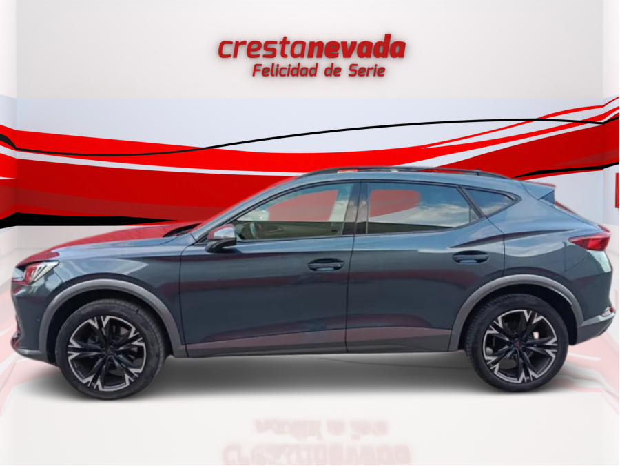 Imagen de cupra Formentor