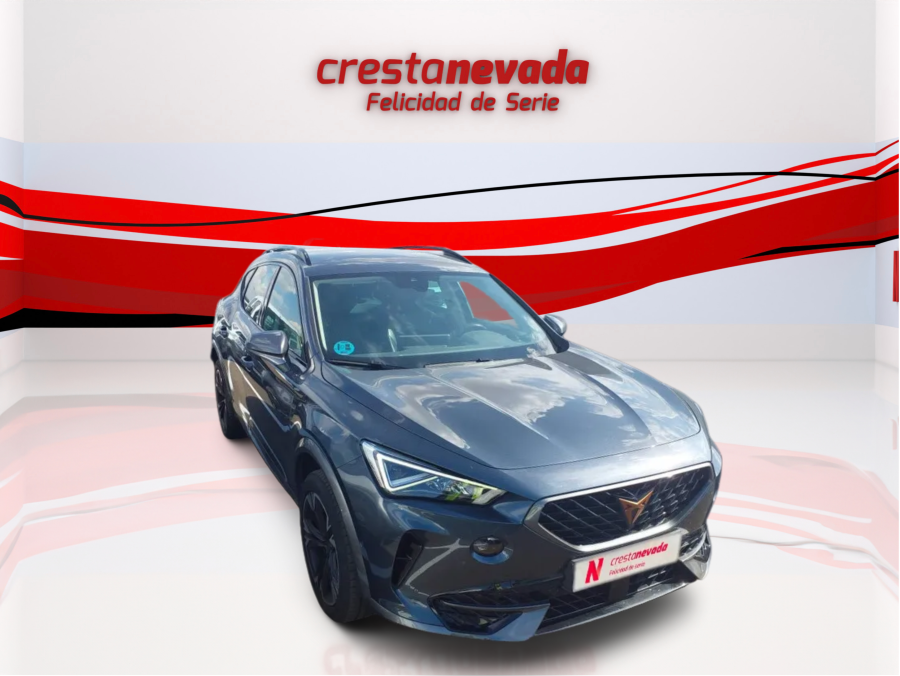Imagen de cupra Formentor