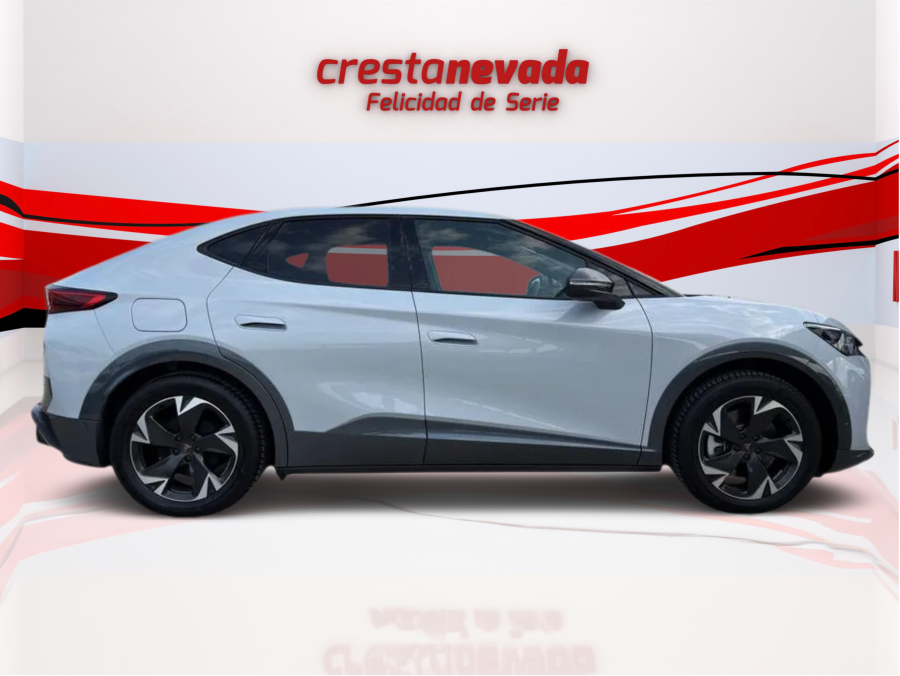Imagen de cupra Tavascan