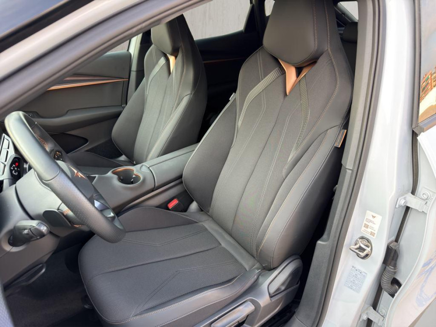Imagen de cupra Tavascan