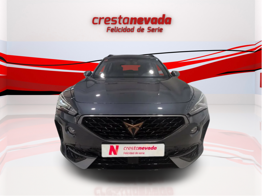Imagen de cupra Formentor