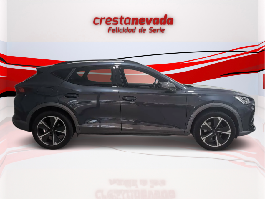 Imagen de cupra Formentor