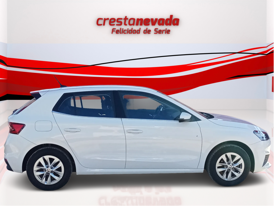 Imagen de Skoda Fabia