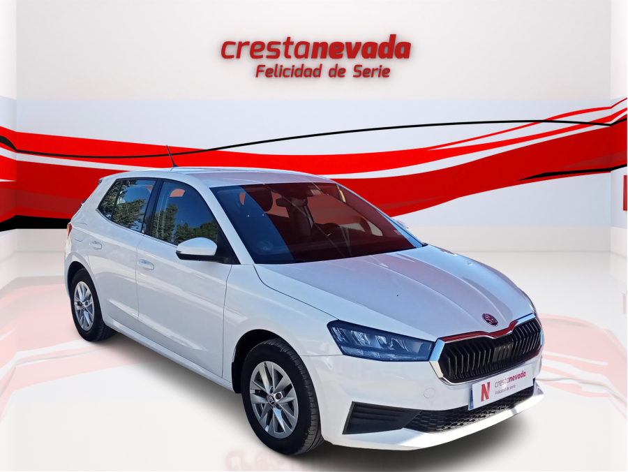 Imagen de Skoda Fabia