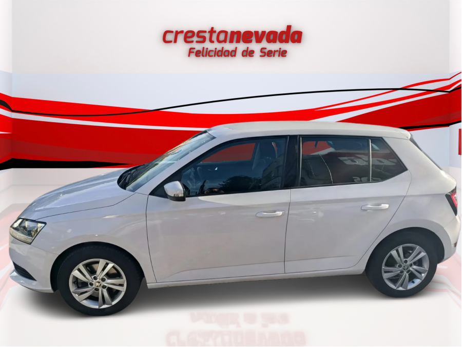 Imagen de Skoda Fabia