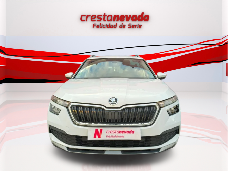 Imagen de Skoda Kamiq